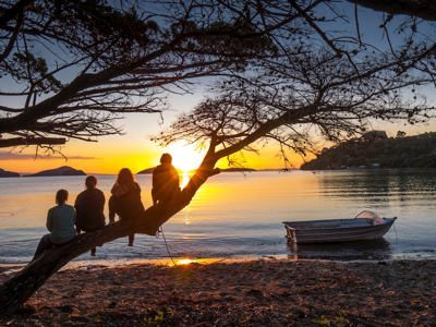 Coromandel Shelly Beach — photo from its official TOP 10 listing