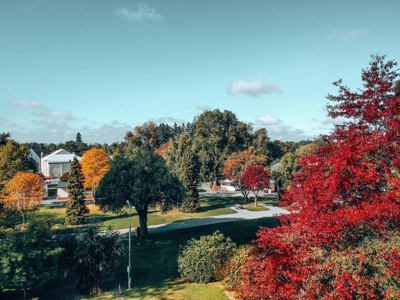 Geraldine — photo from its official TOP 10 listing